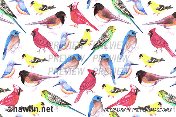 Colorful Watercolor Birds Backgrounds for Creative Sellers