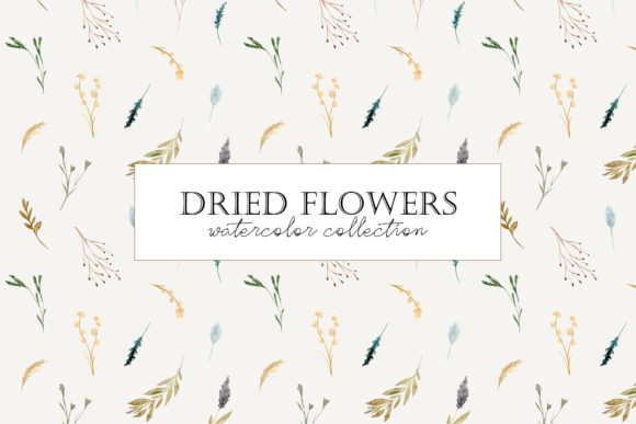 Dried Flowers Watercolor Embroidery: A Designer’s Real-Use Review