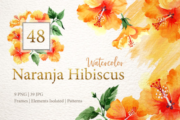 Naranja Hibiscus Watercolor: A Designer’s Take on Its Visual Impact and Practical Use
