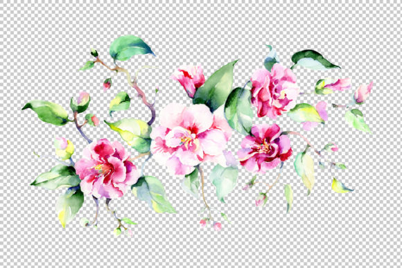 Review: Bouquet Pink Roses PNG Watercolor Flowers Set for Crafts & Branding