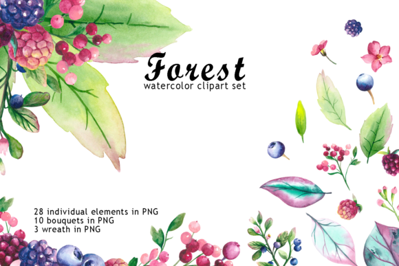 Watercolor Forest Berry Clipart: Decorative Elements for Blog & Editorial Design