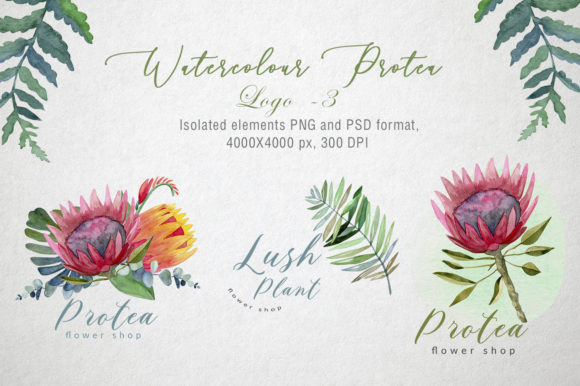 Watercolor Protea Logo for Crafts: A Handmade Business Designer’s Review